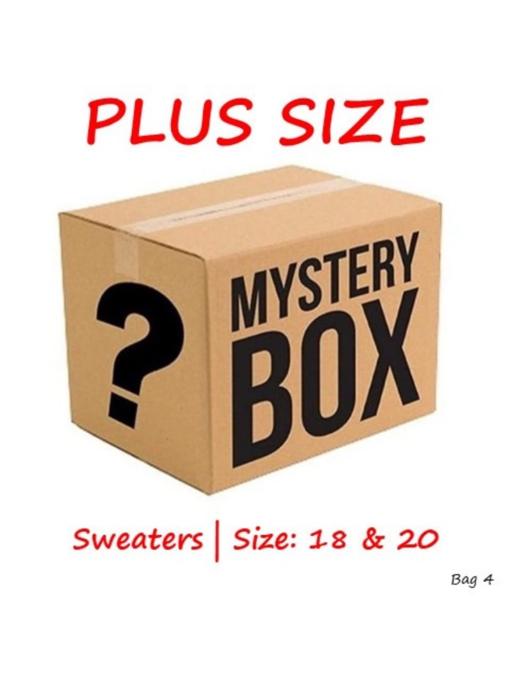 Plus Size Mystery Box - 4 pieces top Variety